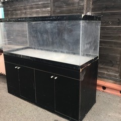 アクリル水槽、150水槽、大型水槽