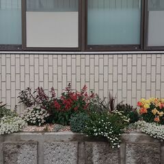 🌸ガーデニング専門店と花と緑に囲まれた花カフェ☕ - 八代市