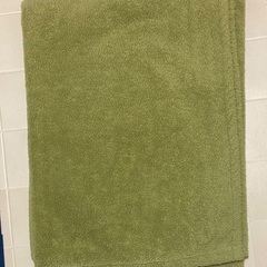 緑の毛布と薄水色のタオルケット