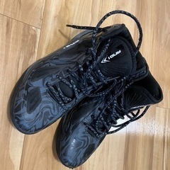 バスケ靴、日本サイズ28cm