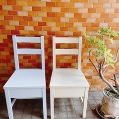 フランフラン　francfranc 2色組　椅子　白&薄ブルー