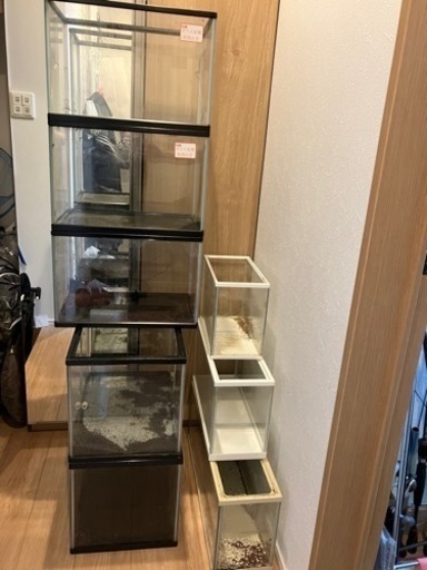 水槽まとめて