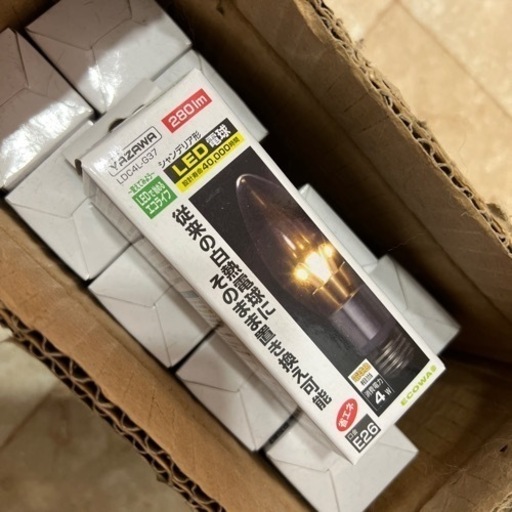 電球　新品