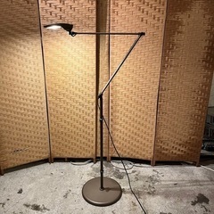売約済】SWAN スワン電器 SLIMAC EXARM エグザーム LED フロア