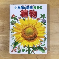 小学館の図鑑NEO （植物）