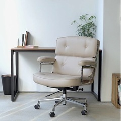 Eames Chairs(リプロ)イームズ （タイムライフチェア）