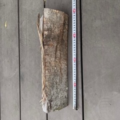 薪ストーブ　乾燥　薪　1年半乾燥済み　広葉樹　埼玉県加須市　軽トラ山盛り1台分(約350kg) 