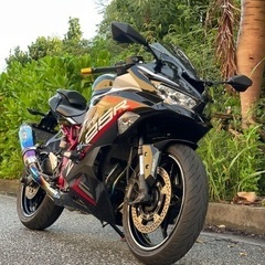 【ネット決済】ninja ZX25R se