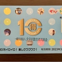 東京ドームシティ　特10チケット10点　有効期限:2023/3/31