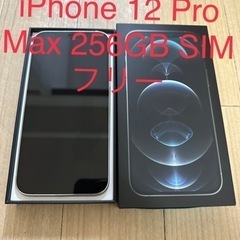 iPhone 12 Pro Max シルバー 256 GB SI...