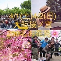 🌸 4/1(土)＆4/2(日)【合計400名】桜ノ宮♩お花見🌸