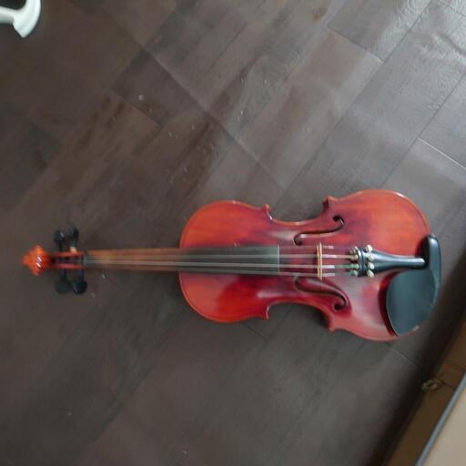 大人用バイオリン4/4初心者〜中級者向け JAZZバイオリリニスト寺井尚子様