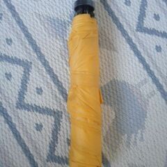 ミニ折りたたみ傘　黄色　　無料