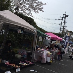 那珂川市　桜祭り