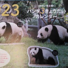 【廃棄】2023年カレンダー3冊まとめて★パンダ、百人一首、El...