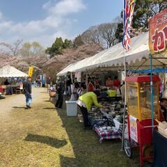 4月8日-9日　第15回　柳生さくら祭開催します　 - 奈良市