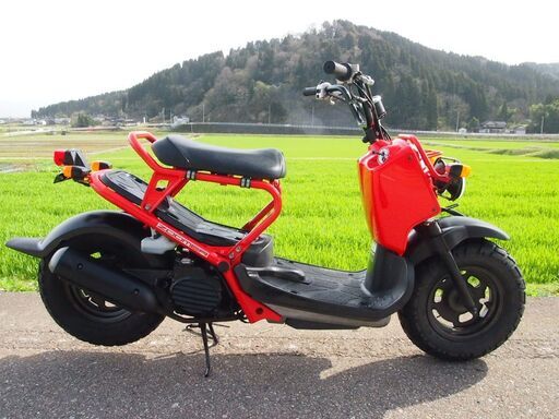 綺麗な赤ホンダ　ズーマー　AF58型モデル実働富山、石川、金沢