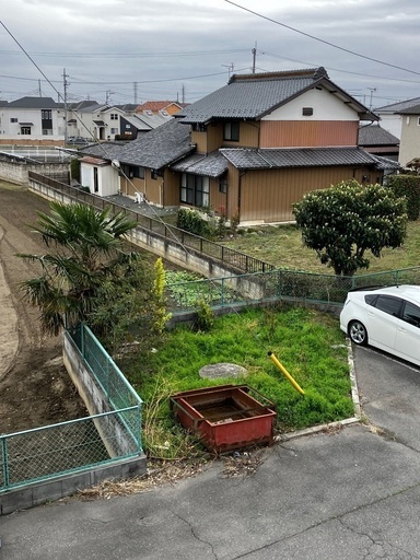 シュロ