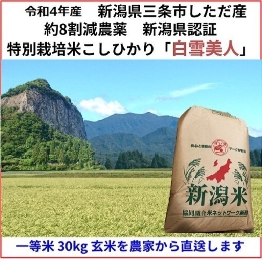 特別栽培米 新潟県産コシヒカリ 1袋30㎏入 新潟産コシヒカリ 玄米 30kg 特別栽培 令和6年産 ｜お米通販