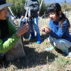 野草を採ってその場で調理して食べよう - 北杜市