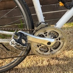 手渡し甲府市☆ジャイアント☆エスケープ☆R3