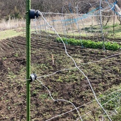 害獣避け　電柵セット（ご予約済み） 害獣避け 電柵セット（ご予約済み）