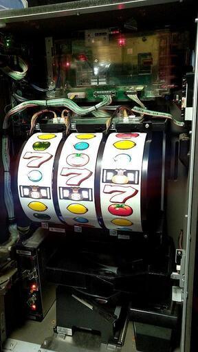 選ぶなら トマト収穫祭 フル純正リノ その他