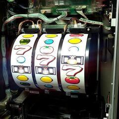 トマト収穫祭 フル純正リノ