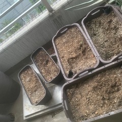 家庭菜園用のプランター培養土付きです。手渡し希望