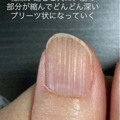 【健康な爪】が指を支えています　ハンドケア＆ネイルケア桃の木の画像