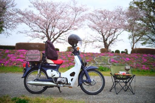ホンダ スーパーカブ50