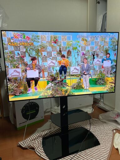 LG 有機ELテレビ　OLED55C8PJA 4K ドルビービジョン対応