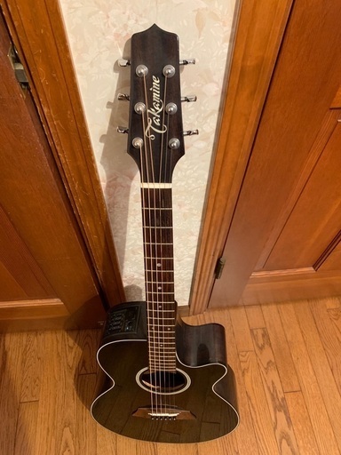 その他 Takamine TP107GBB