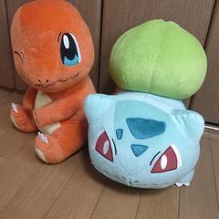 ポケモン ぬいぐるみ ヒトカゲ フシギダネ