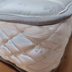 4/29発送　日本ベッド　シルキーポケットハード　セミダブル　マットレスのみ