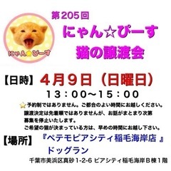 4月9日(日)🌸にゃん☆ぴーす猫の譲渡会🌸「ペテモピアシティ稲毛...