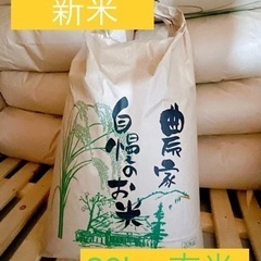 令和4年度　兵庫県産　玄米　20キロ