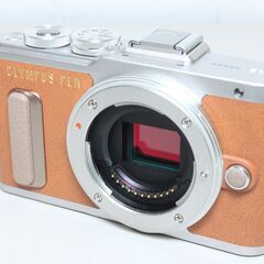 OLYMPUS/PEN E-PL8/ミラーレス一眼 ④