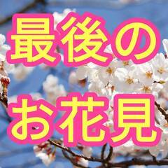 【4/1土】🌸上野公園でお花見会🌸ボードゲームやりながら交流しま...