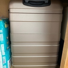 キャリーバッグ