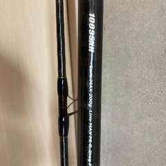 オキナワマンビカ100ssxh（値引き中）