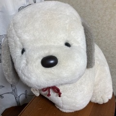 決まりました。うめ吉