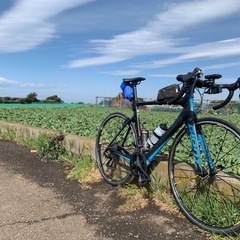 ロードバイク仲間募集