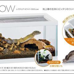 レプテリア300low 飼育セット