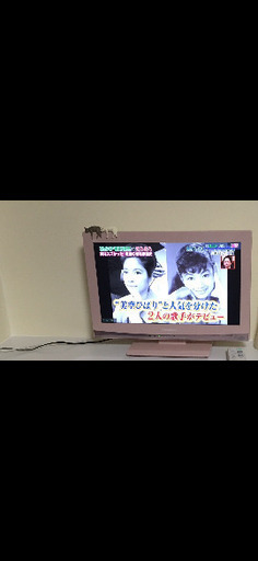 VIERA 19型液晶テレビ パステルピンク