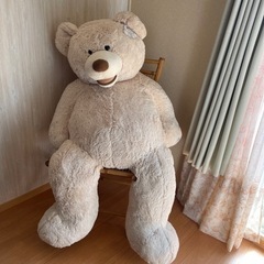 コストコ　big bear 🧸