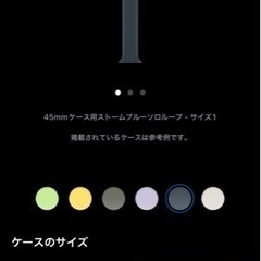 Apple Watch バンド※3月30日まで