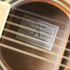 Takamine タカミネ アコースティックギター アコギ MODEL T-J1