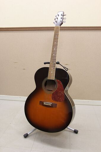 Takamine タカミネ アコースティックギター アコギ MODEL T-J1 (P1566tnysY)