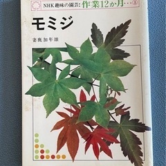 モミジ　NHK趣味の園芸　作業12ヶ月  妻鹿加年雄   